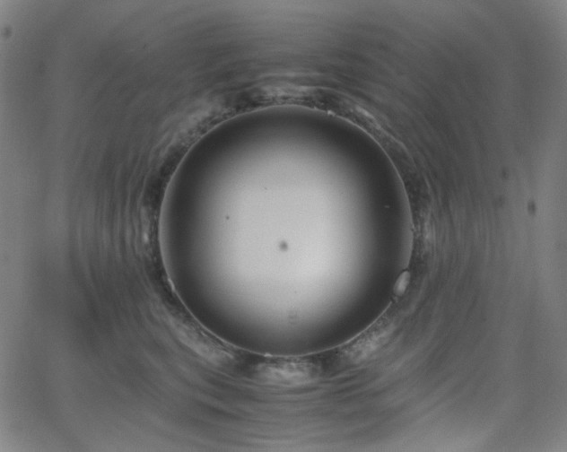 X0000063440567200601201158