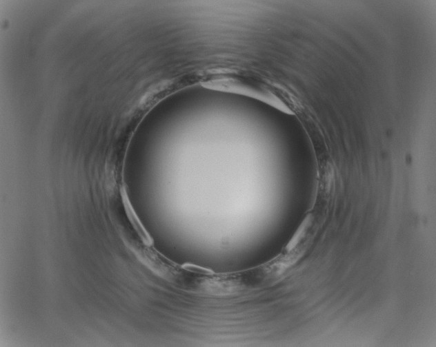 X0000063440568200601201158