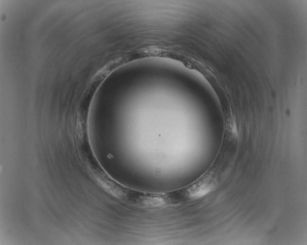 X0000063440572200601201158