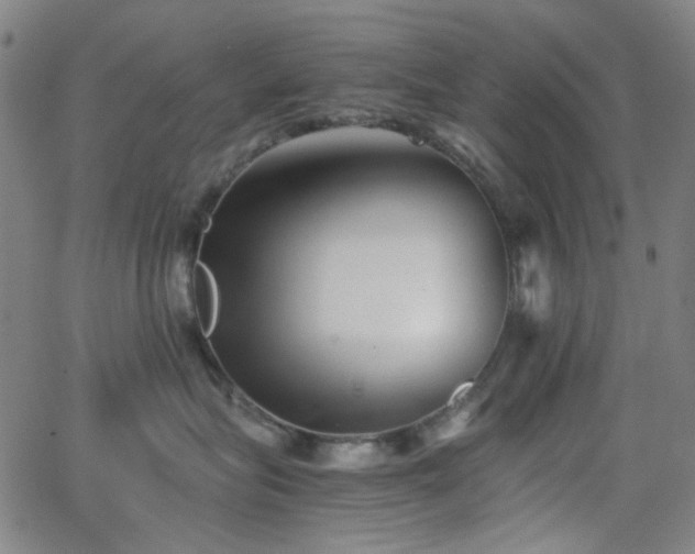 X0000063440575200601201158