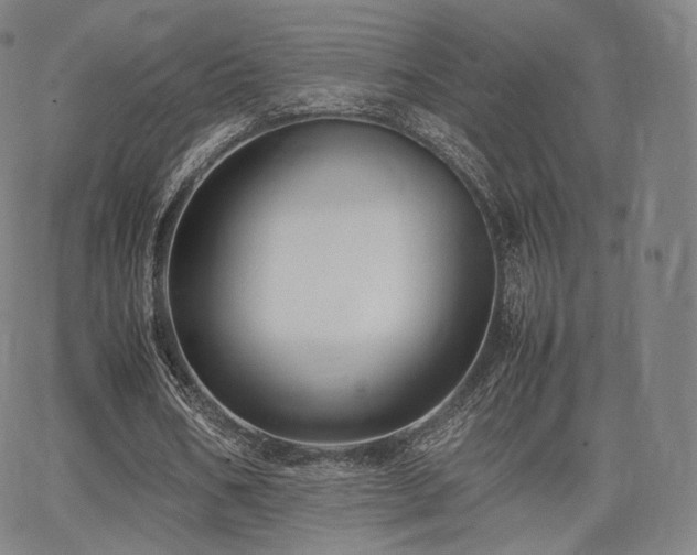 X0000063440578200601201157