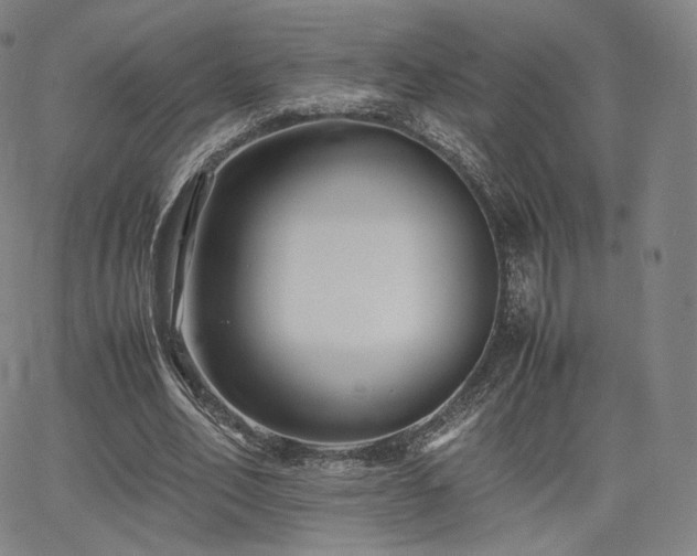 X0000063440582200601201157