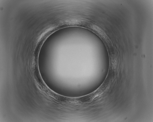 X0000063440583200601201157