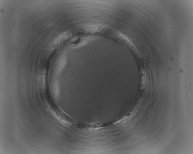 X0000063440590200601201157