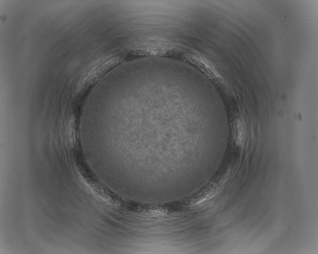 X0000063440594200601201157