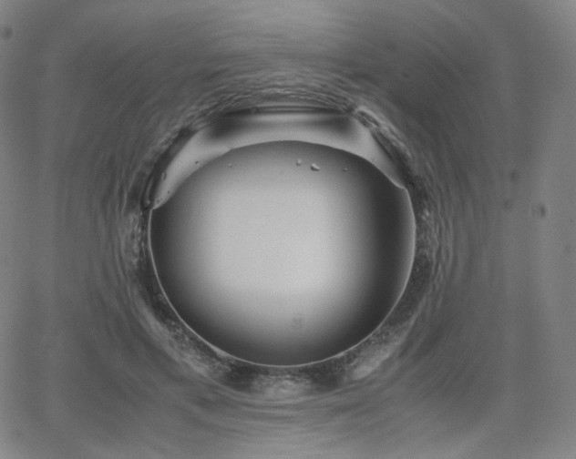 X0000063440597200601201157