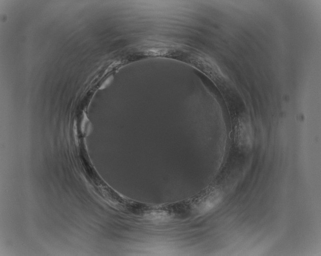 X0000063440598200601201157