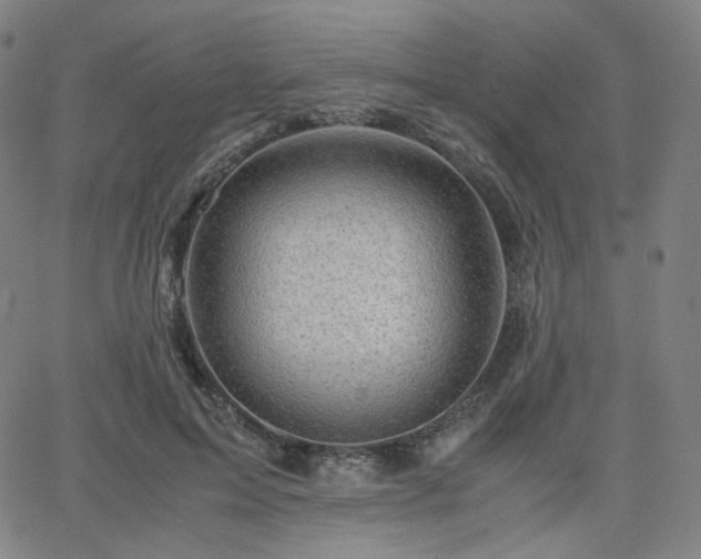 X0000063440599200601201157
