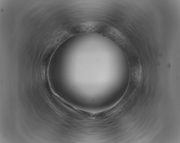 X0000063440602200601201157