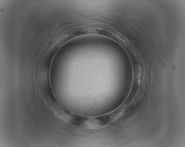X0000063440603200601201157