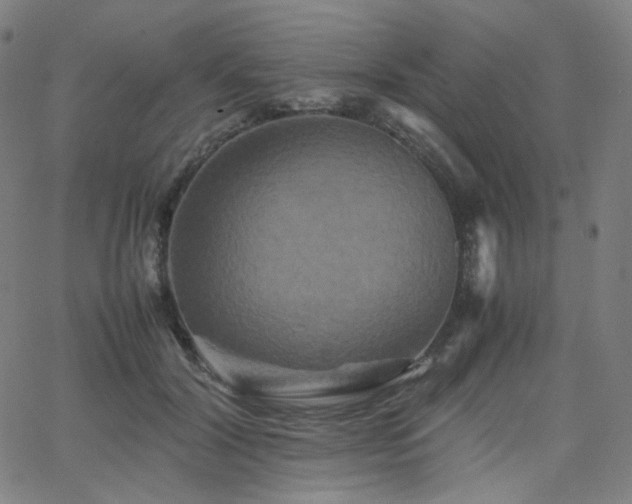 X0000063440604200601201157