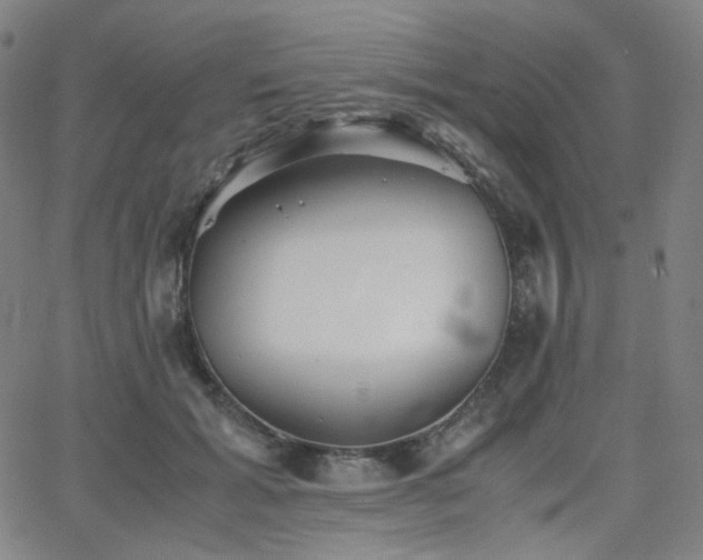 X0000063440605200601201157
