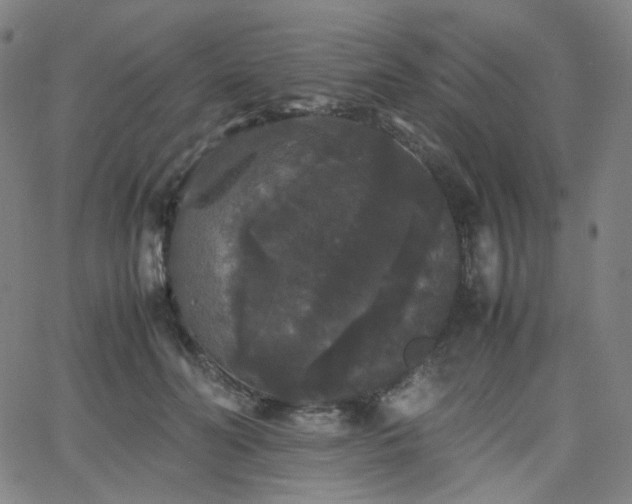 X0000063440606200601201156