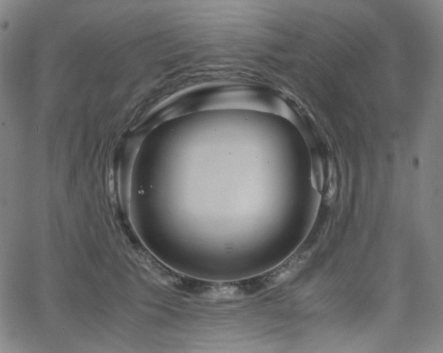 X0000063440609200601201156