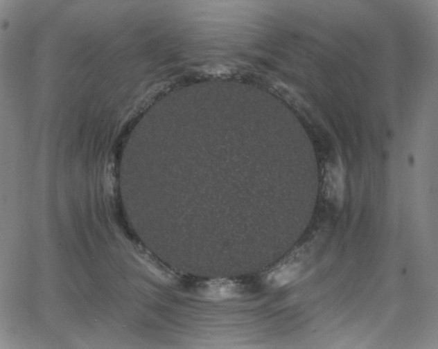 X0000063440612200601201156