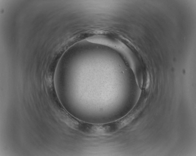 X0000063440613200601201156