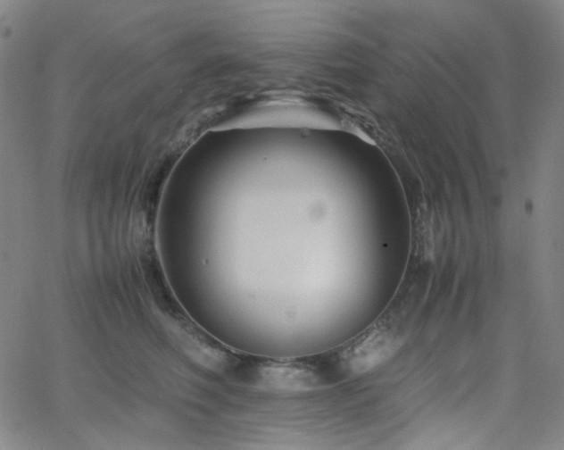 X0000063440614200601201156