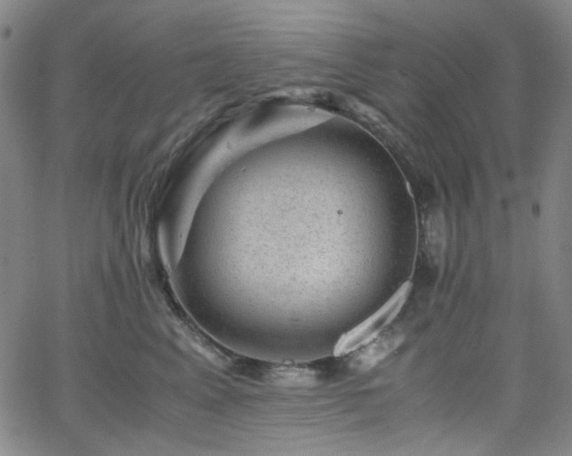 X0000063440617200601201156