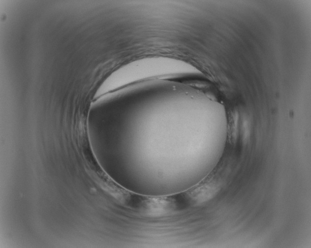 X0000063440623200601201156