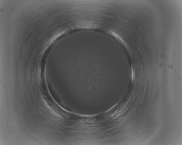X0000063440627200601201155