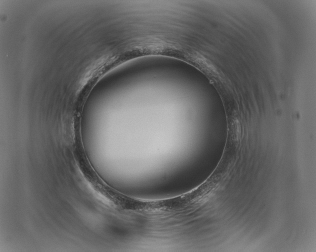 X0000063440638200601201156