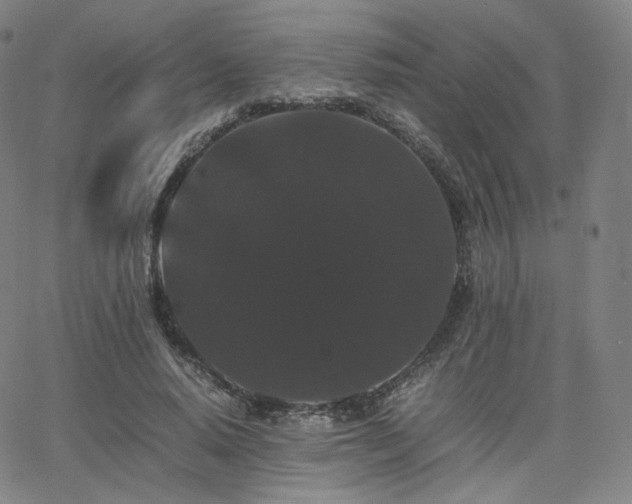 X0000063440640200601201156
