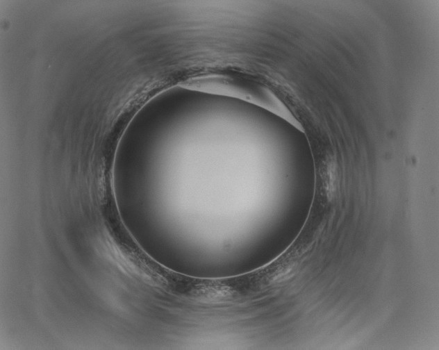 X0000063440642200601201156