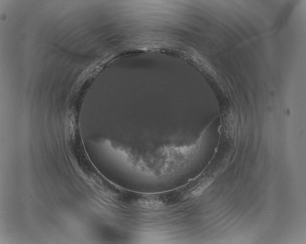 X0000063440644200601201156