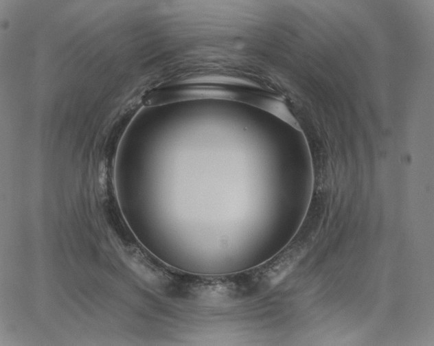 X0000063440646200601201156