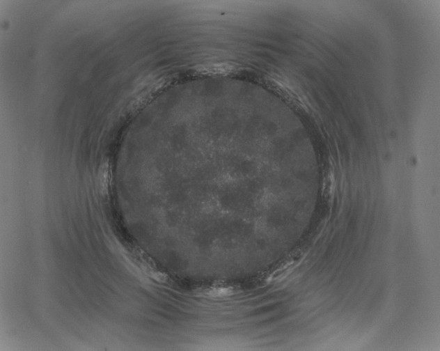 X0000063440647200601201156