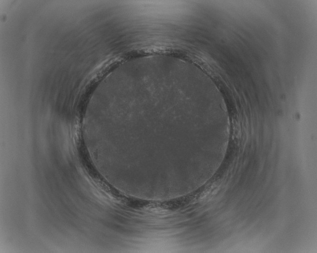 X0000063440648200601201156