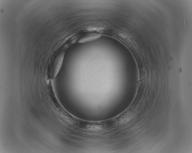 X0000063440649200601201156