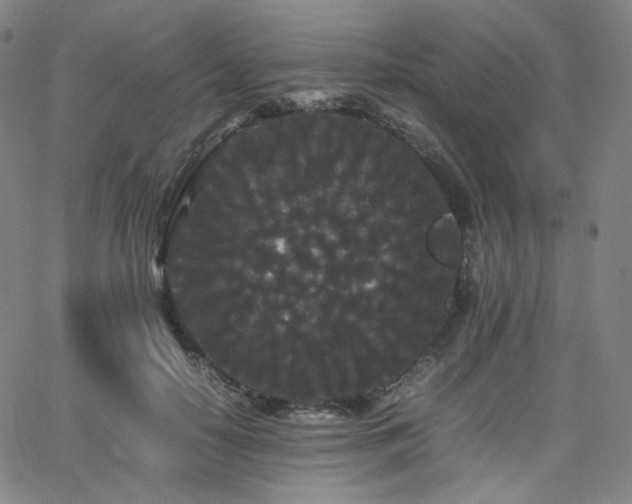 X0000063440650200601201156