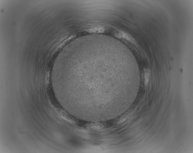 X0000063440652200601201156