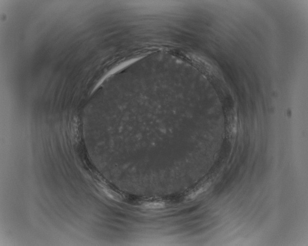 X0000063440653200601201156