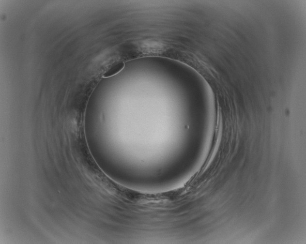 X0000063440655200601201156