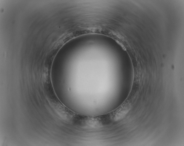 X0000063440656200601201156