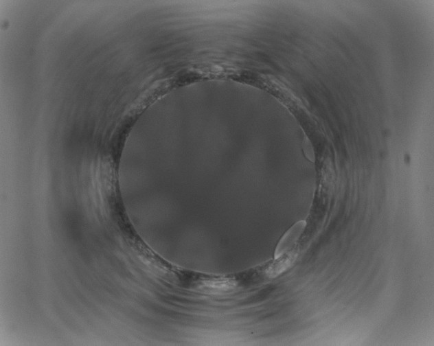 X0000063440659200601201156