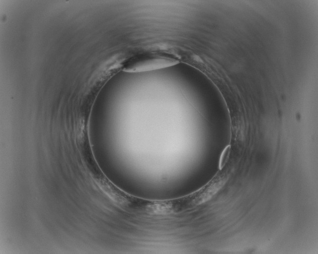 X0000063440660200601201156