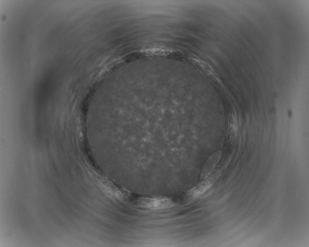 X0000063440663200601201156