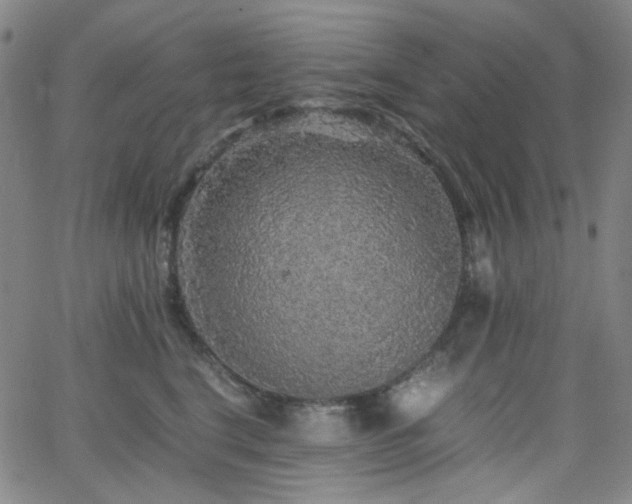 X0000063440664200601201156