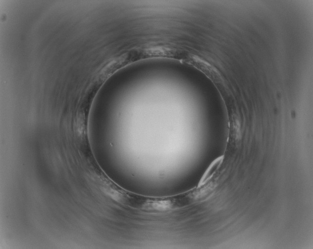 X0000063440665200601201156