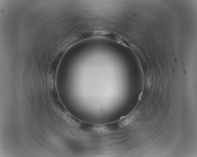 X0000063440666200601201156