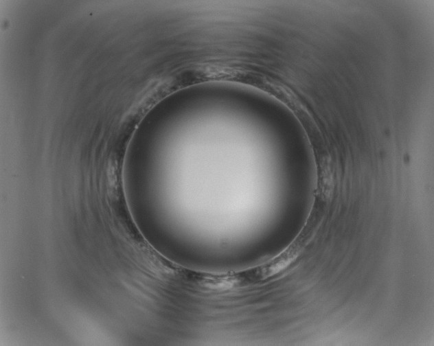 X0000063440667200601201156