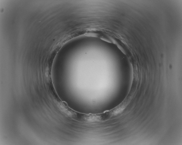 X0000063440670200601201156