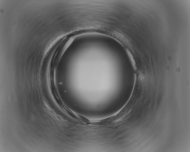 X0000063440676200601201155