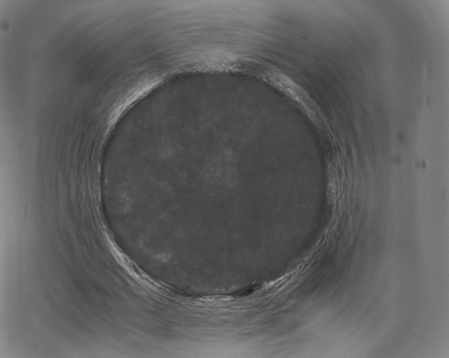 X0000063440677200601201155