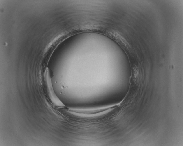 X0000063440684200601201155