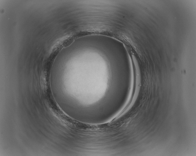 X0000063440688200601201155