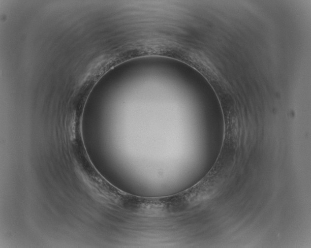 X0000063440694200601201155
